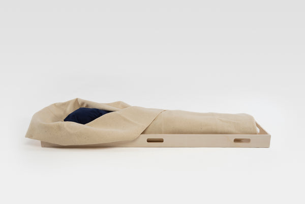 Basic carrier