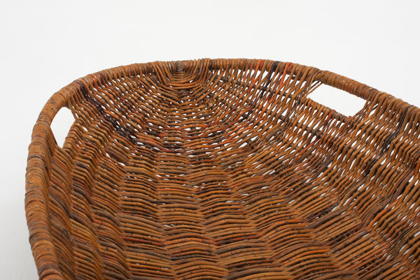 Schaal van wilgentenen