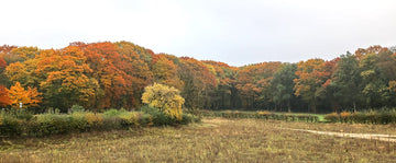 Landschap voor een biologische uitvaart