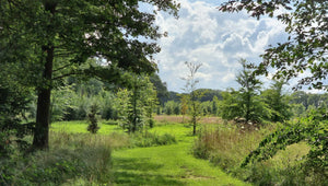 Natuurbegraafplaats De Hoevens