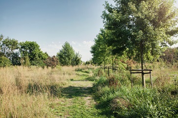 DELA_IJsselhof_Crematorium_Natuurbegraafplaats_Gouda18