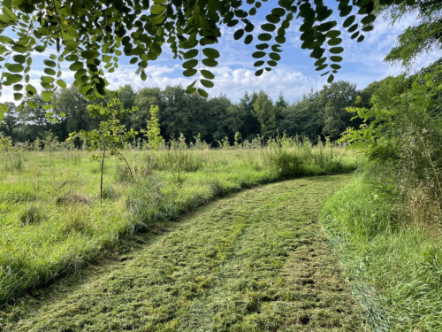 De Velden Natuurbegraafplaats