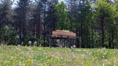 Afscheid op natuurbegraafplaats Hoeve Ruth