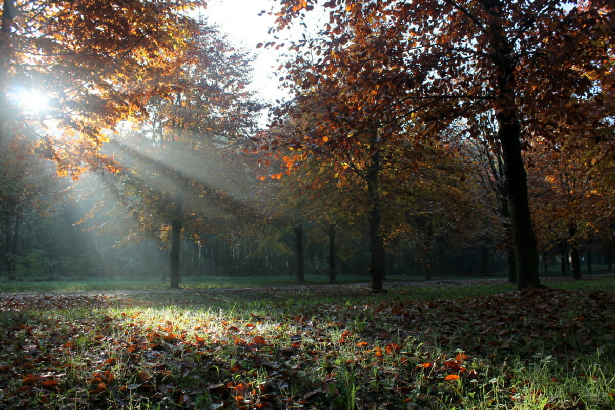 Natuurbegraafplaats Hillig meer