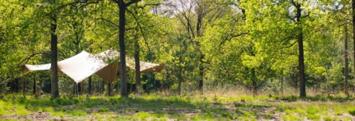 Natuurbegraafplaats Huis ter Heide