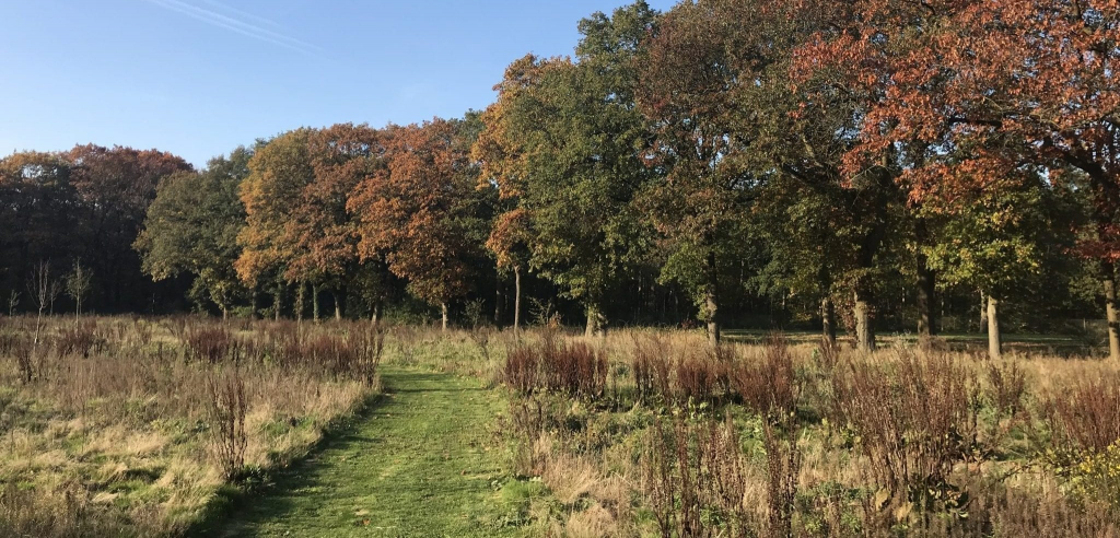 Koningsakker Natuurbegraafplaats heide