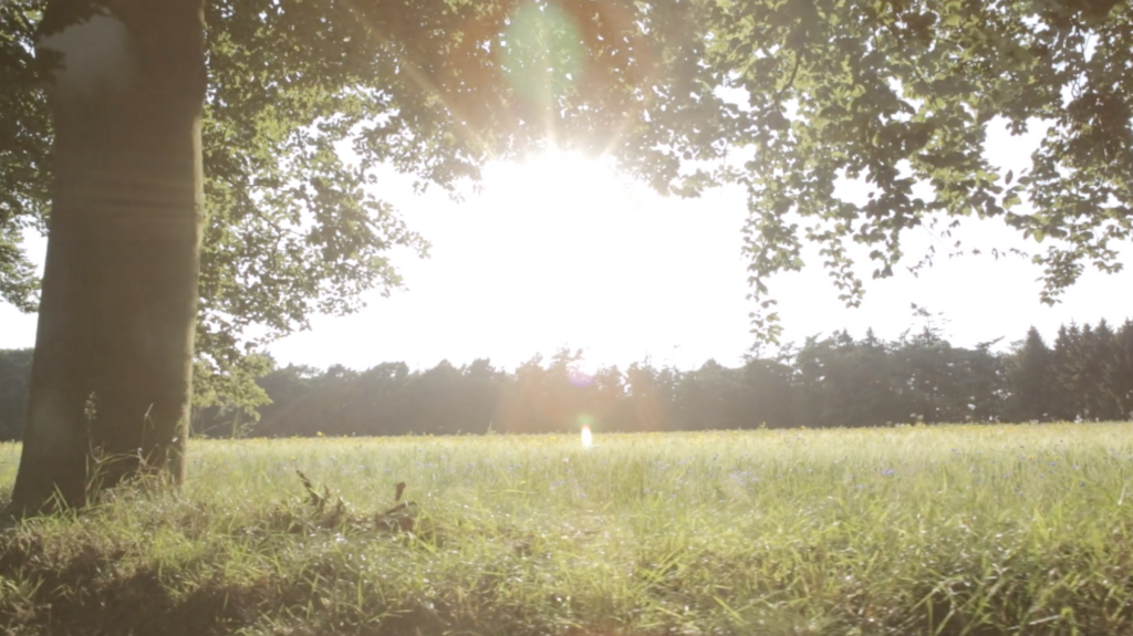 Landschap Natuurbegraafplaats Heidepol