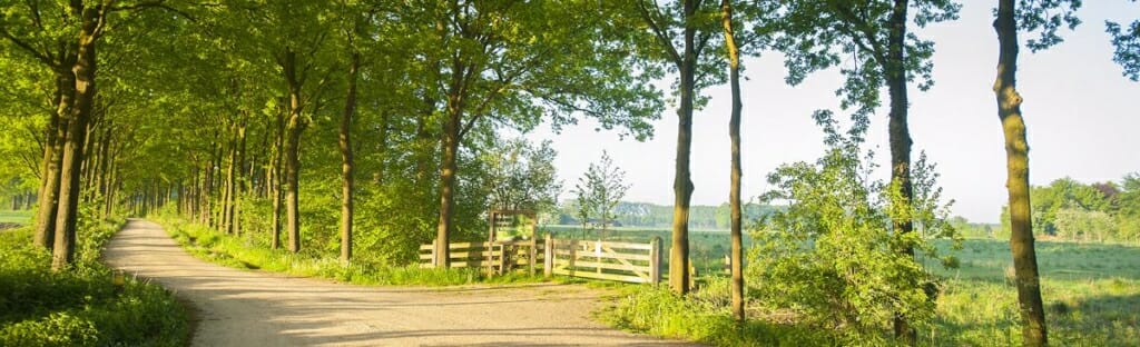 Lente op natuurbegraafplaats Slangenburg