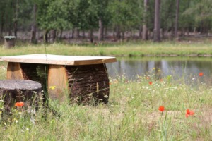 Natuurbegraafplaats Elspeterbos