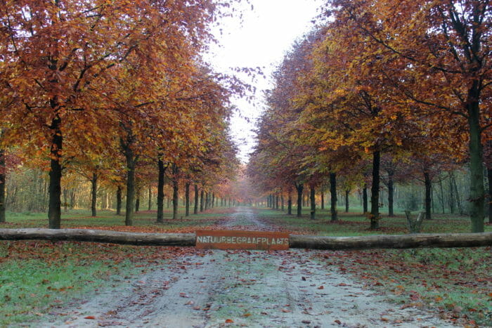 Natuurbegraafplaats Hillig Meer