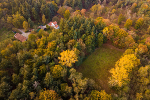 Natuurbegraafplaats Huis ter Heide