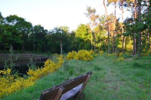 Natuurbegraafplaats Venlo-Maasbree