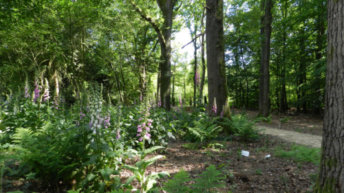 Natuurbegraafplaats Terwisscha