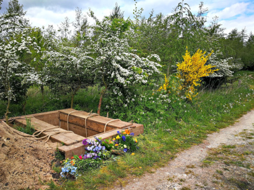 Natuurgraf op Reinerwolde