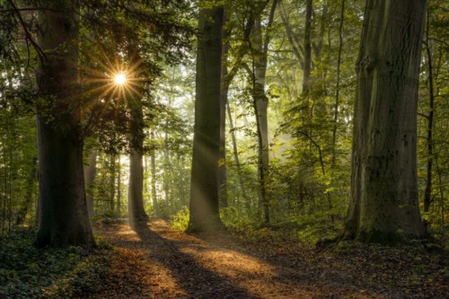 Urnenbegraafplaats Hoge Veluwe