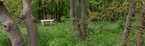 Natuurbegraafplaats Nieuw Valkeveen