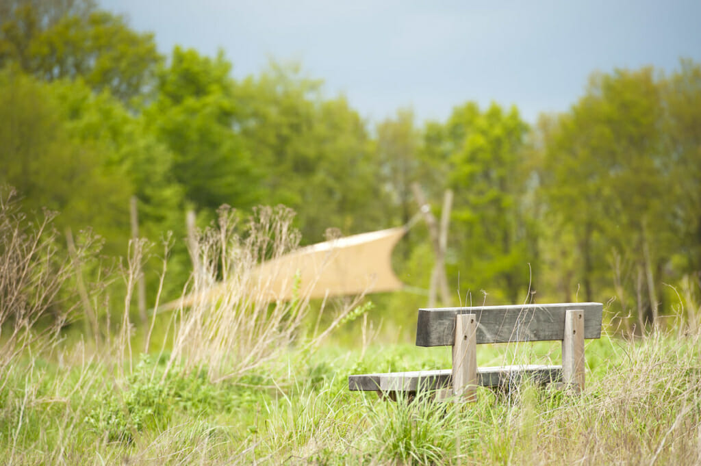 het landschap van natuurbegaafplaats slangenburg