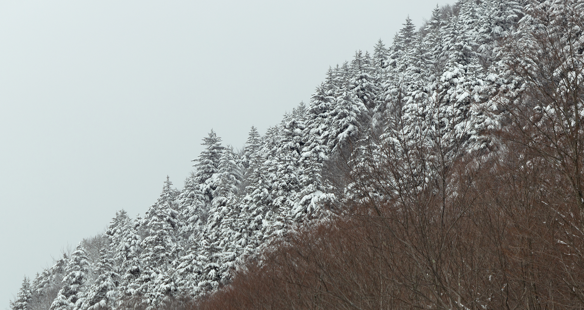 seizoenen winter