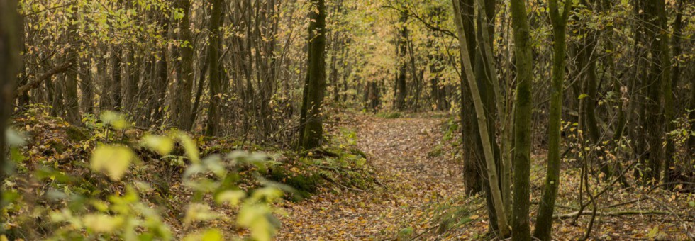 natuurlijke begrafenis